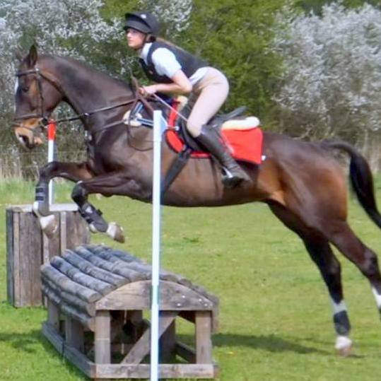 Working Hunter Training