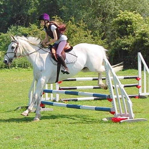 Show Jumping