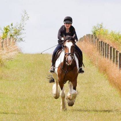 Gallop