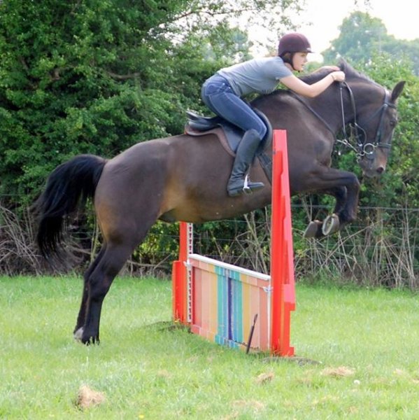 Jumping Lesson