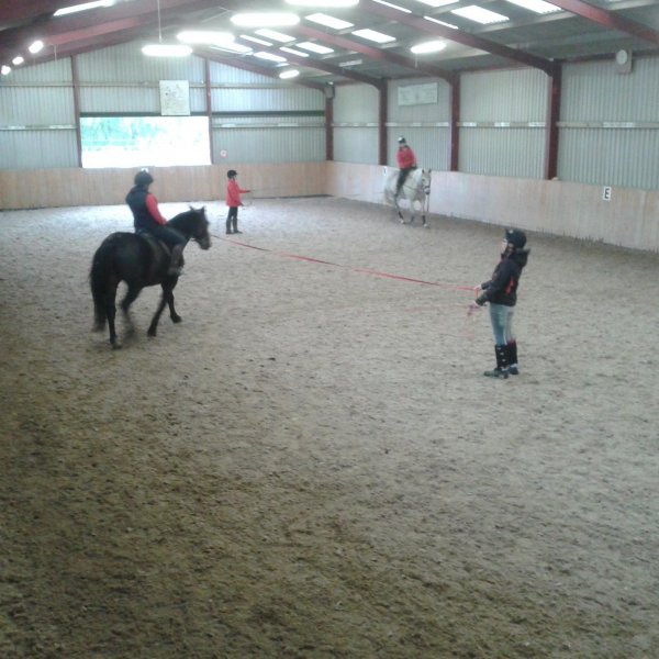 horse rider having a lesson on the lunge