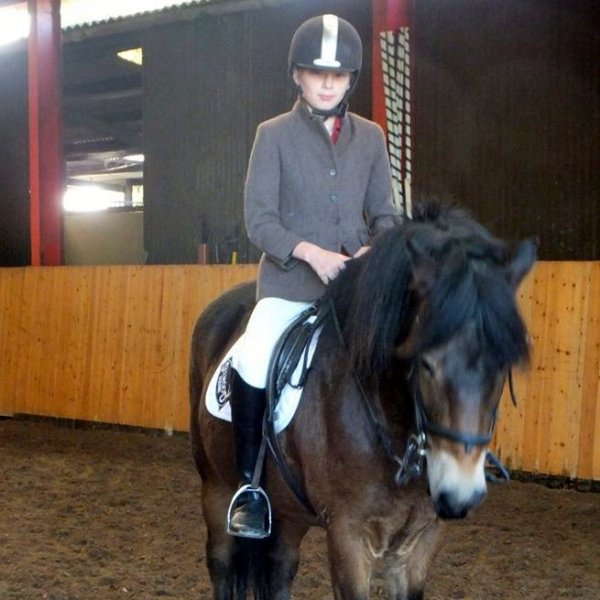 dressage