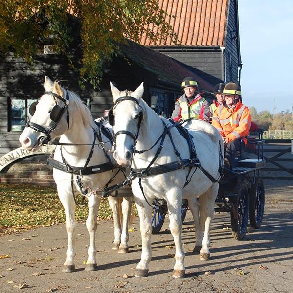 Carriage Driving