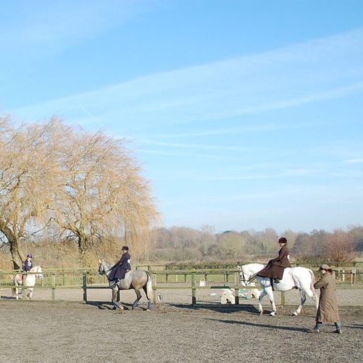 Side Saddle