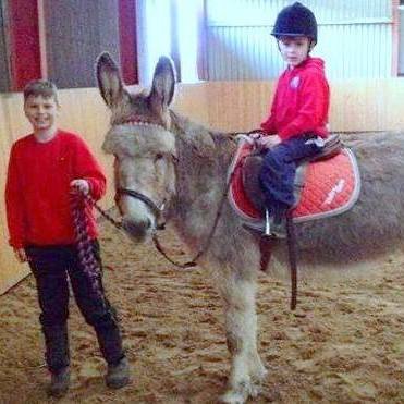 donkey ride