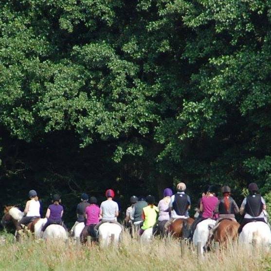 riding club hack