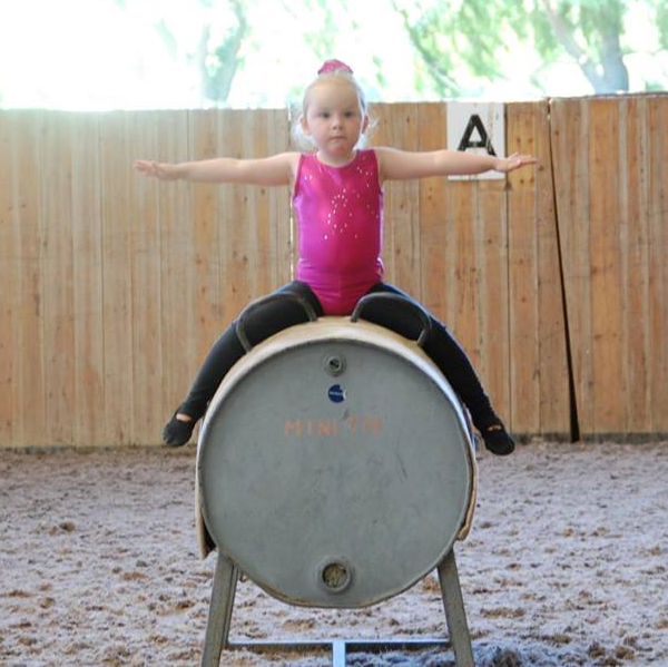 vaulting barrel horse basic seat
