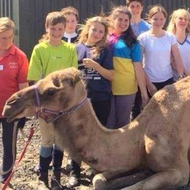 camel and children