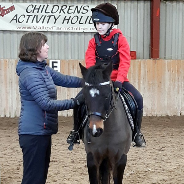 British horse society training
