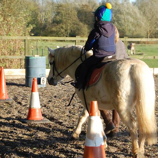 Leadrein lesson