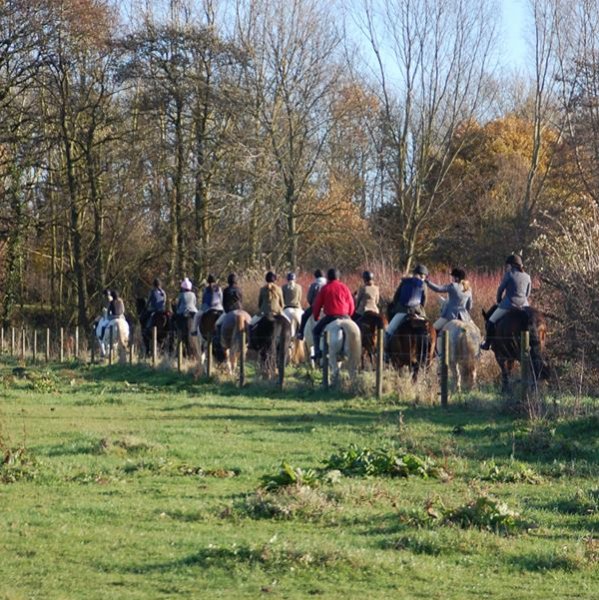 Mock Hunt