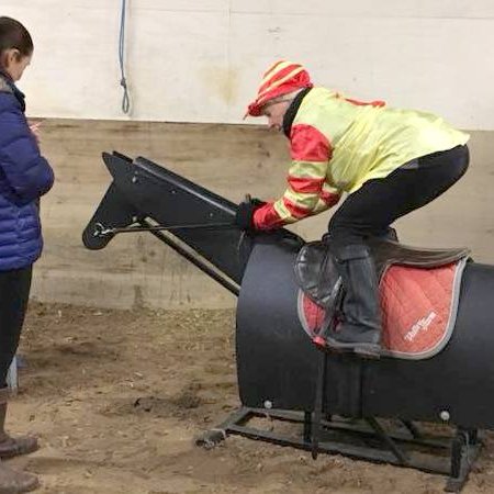 Equisimulator