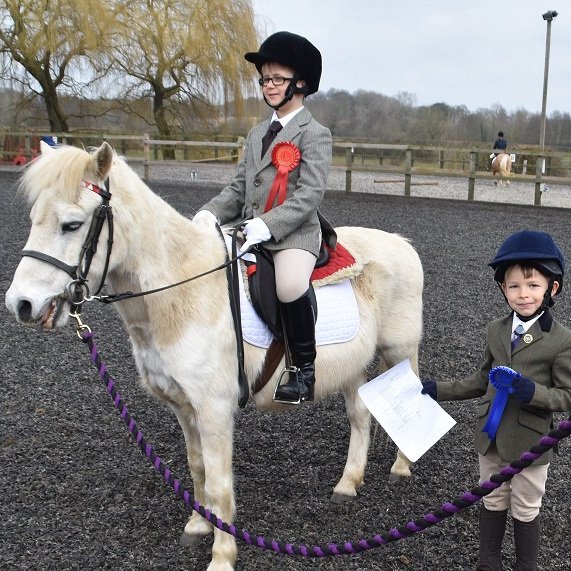 pony with rosettes