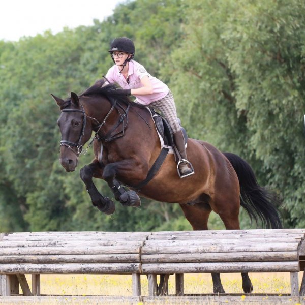 Working Hunter Jump