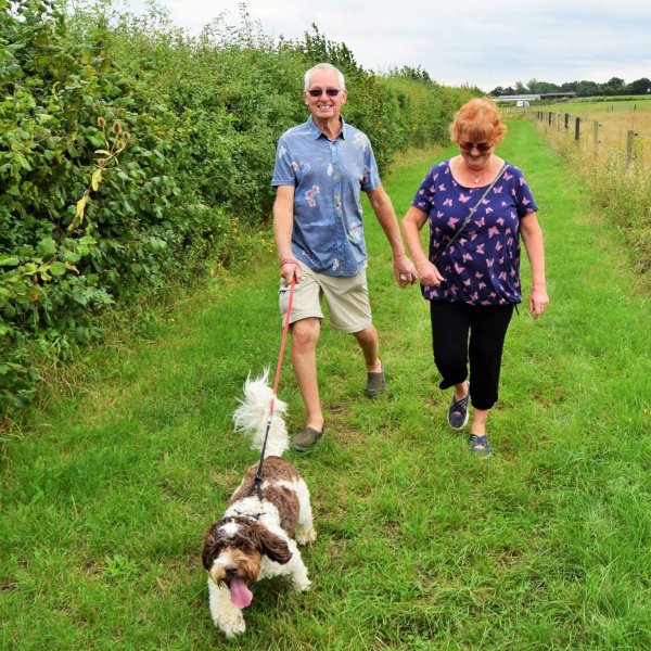 Dog friendly holidays
