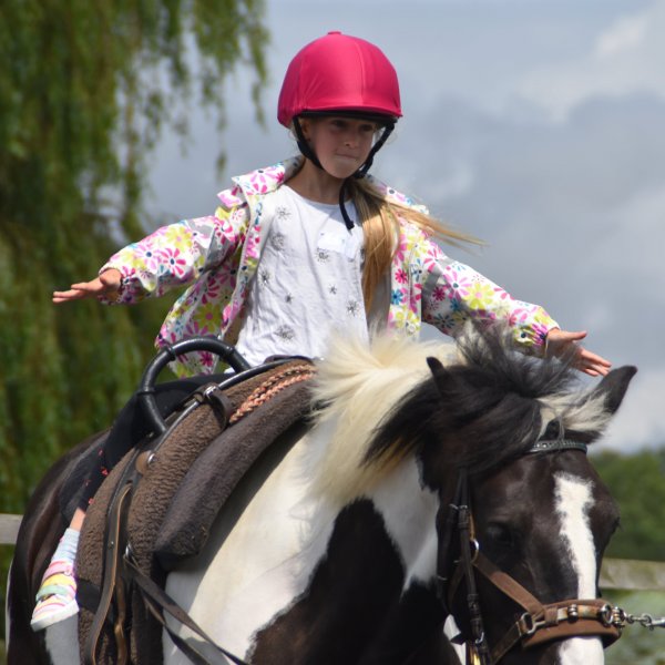 Rider letting go with both hands while being lunged