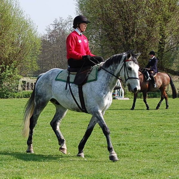side saddle 