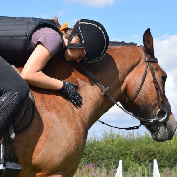 horse hug