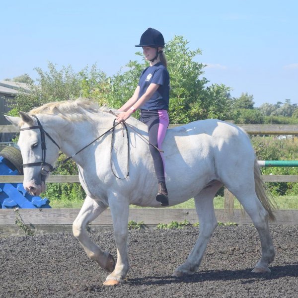 bareback