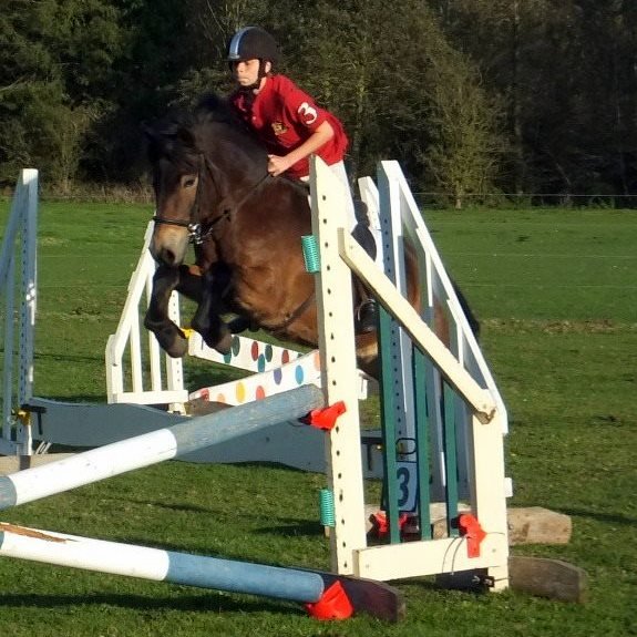 show jumping
