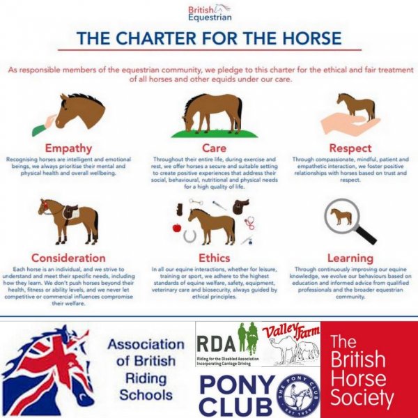 charter for the horse