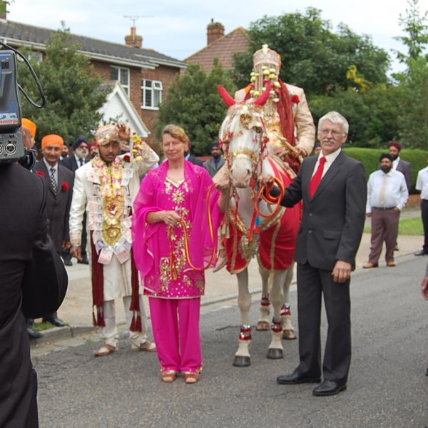 white horses for sikh weddings
