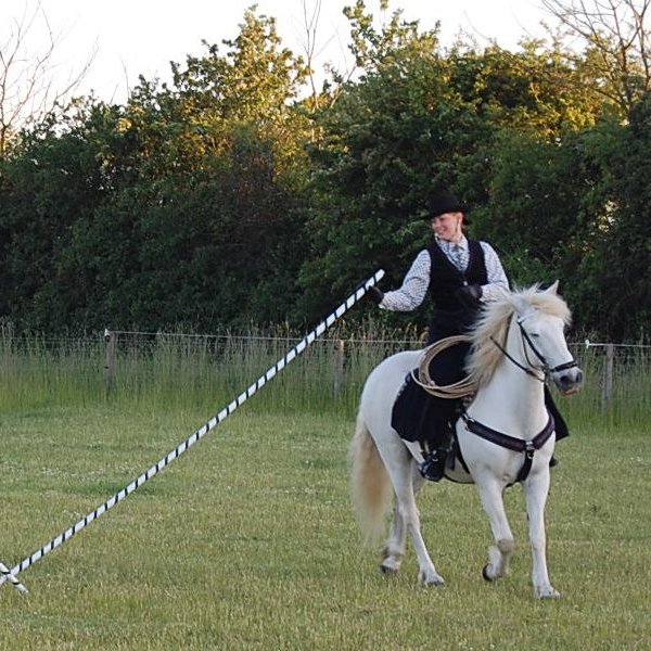 Camargue Trident