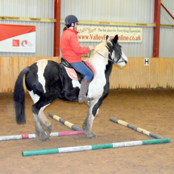 working equitation back round L shape