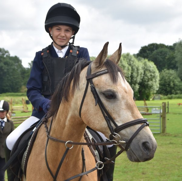 show jumping competition