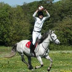 horseball