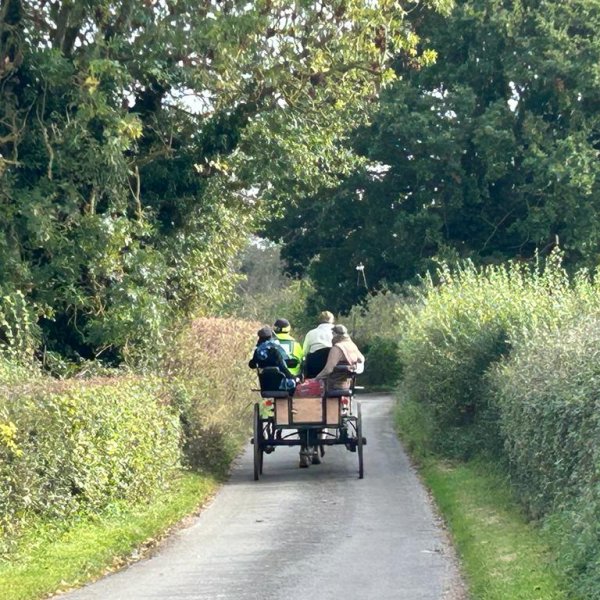 carriage excursion on country lane