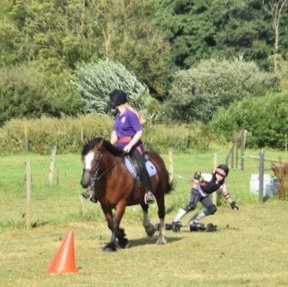 Child riding mountain board towed by a horse