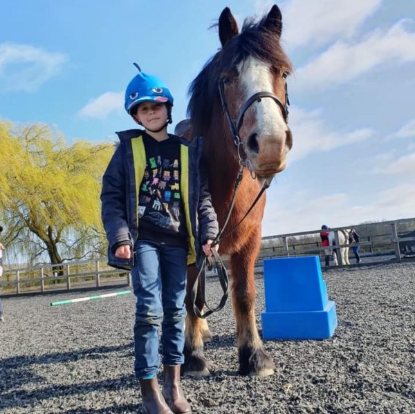 pony club pony
