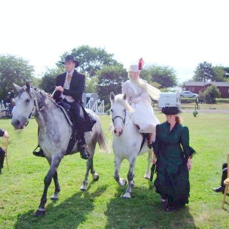 Wedding horses