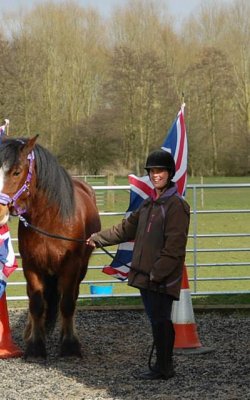 horse agility