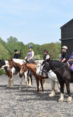 adult group riding lesson
