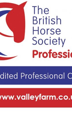 British Horse Society logo