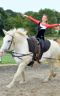 canter