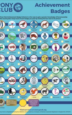 poster showing pony club badges