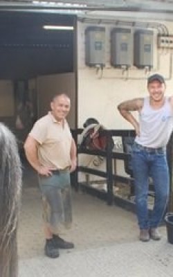 farrier