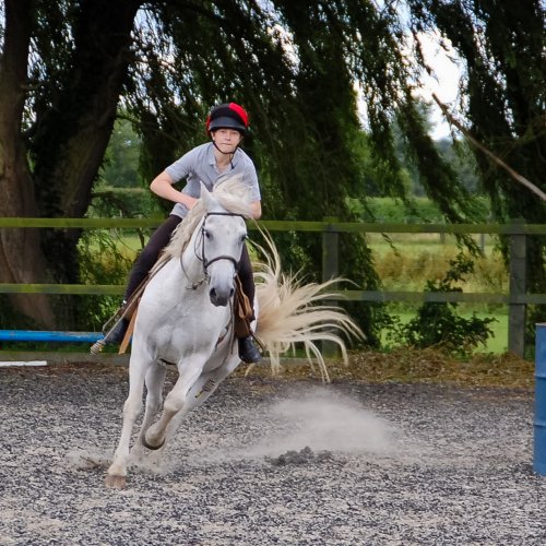 barrel racing