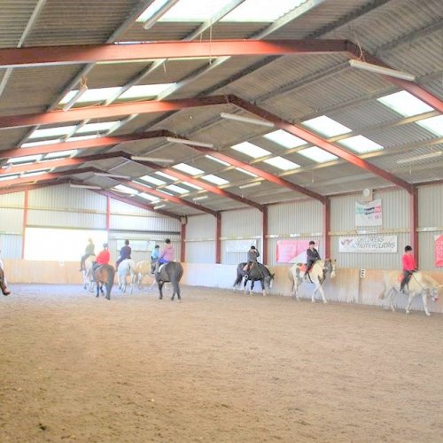 horse riding group in indoor arena horse riding group in indoor arena