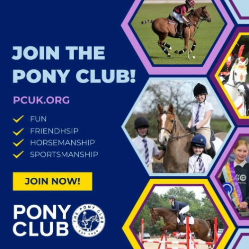 Reasons to join the pony club