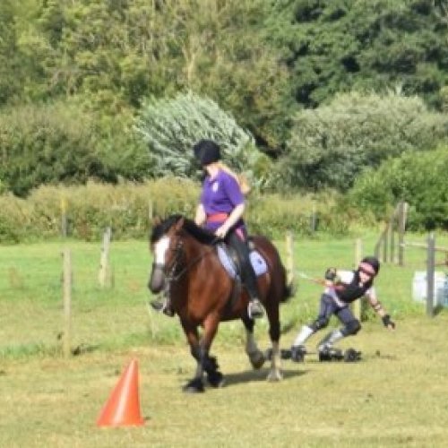 Child riding mountain board towed by a horse