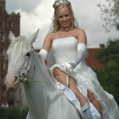 side saddle wedding horse