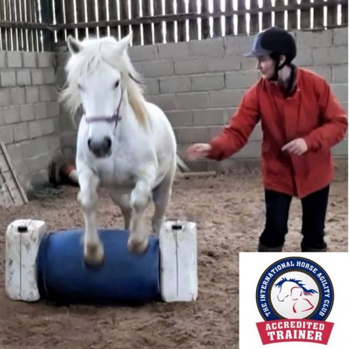 Accredited coach