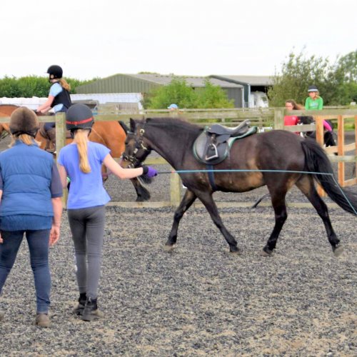 Pony trotting on a lunge line being coached by a trainer.