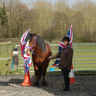 horse agility
