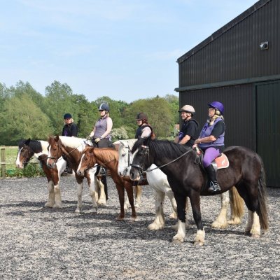 adult group riding lesson