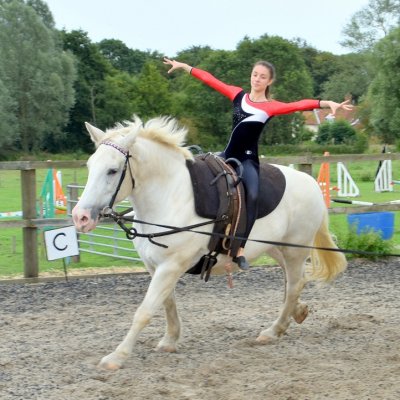 canter